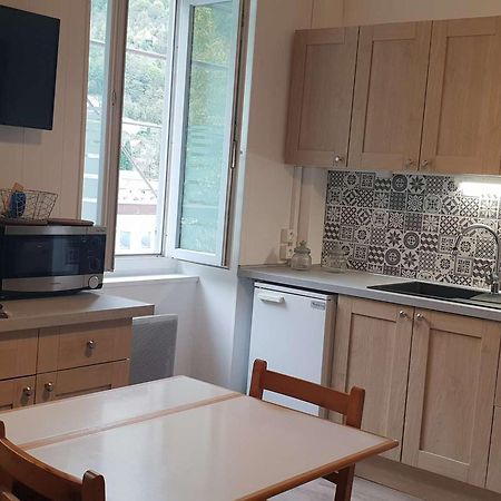 Studio Renove Pour 4 Pers A 50M Du Telecabine - Fr-1-234-293 Cauterets Exteriör bild